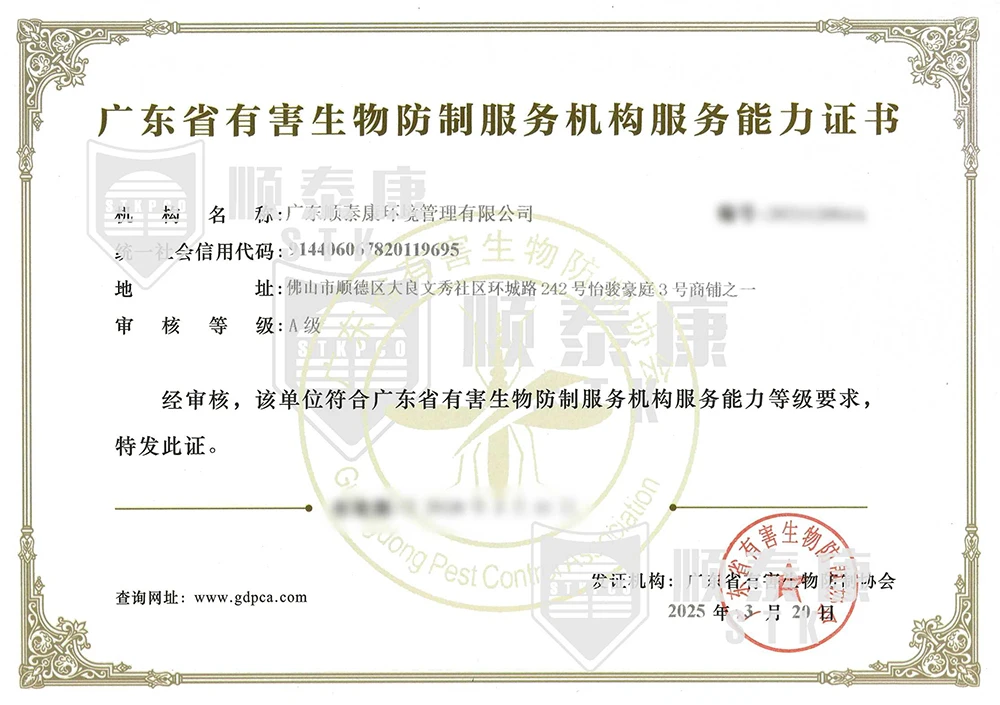 顺泰康白蚁防治服务能力解读：全国A级资质与30余人持证团队